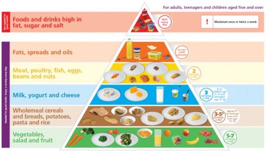 American Food Pyramid